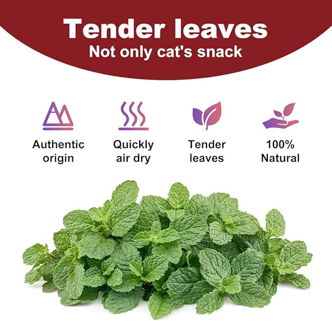 100% Natural Catnip and Pure Catnip for Your Furry Friend Taste Funny Cat Toy New Cat Toy Interactive Cat Toys Pet Supplies