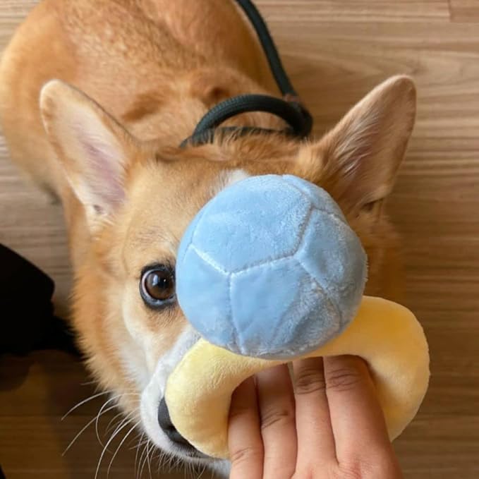 HomeSoGood Squeak Plush Toy, Interested Diamond Ring Case, Stuffed Pet Chew Soft Pet Supplies Dog Toy for Dog Wedding