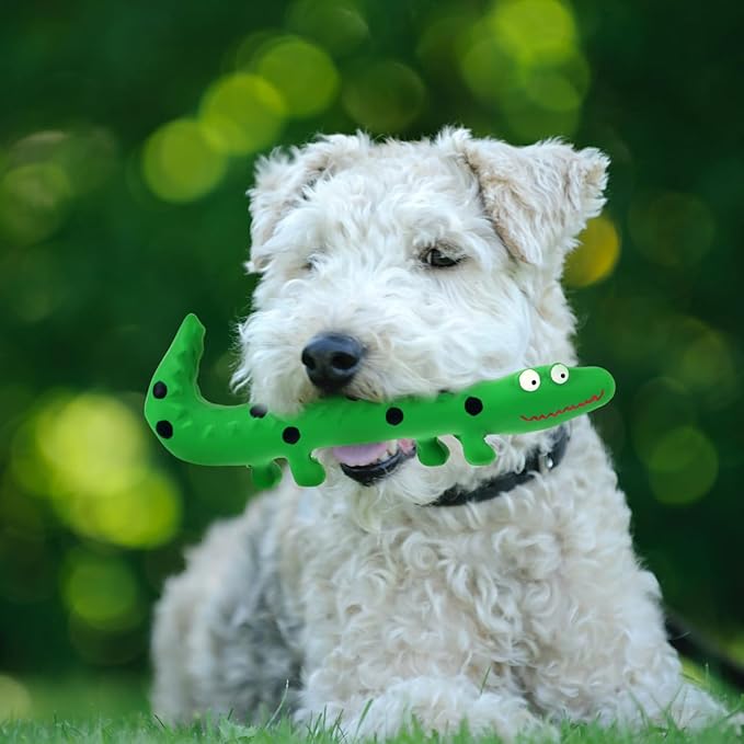Angoily Squeaky Dog Cat Toy Puppy Toys Interactive Tough Play Fetch, No Stuffing, Small, Medium, Large Pet Breed, Reduce Separation Anxiety, 9.5 Inch (Latex Lizard)