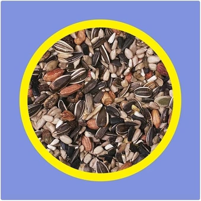 3~D Pet Products Premium Nut N' Berry Blend Dry Wild Bird Food, 14 Lb., Does Not Contain Fillers ~ 1 Pack.