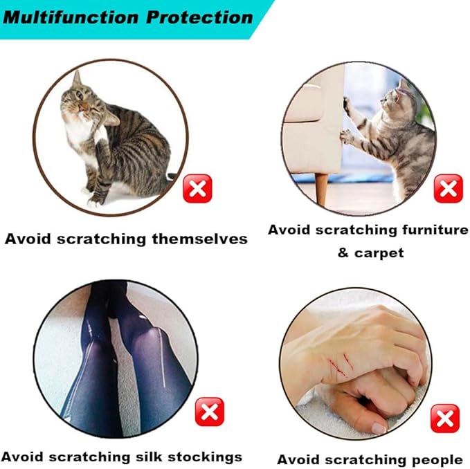 100pcs Cat Nail Caps Clear Cat Claw Covers Kitten Nail Caps with Adhesives and Applicators (S Clear)