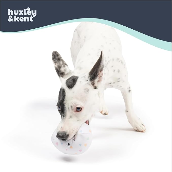 Huxley & Kent Funny Dog Toy w/Squeaker – Power Plush Squeaky Dog Toys for Small Dogs – Durable Small Stuffed Animal for Indoor Play & Fetch - Tiny Tuff Squeaky Eggs, 2pk
