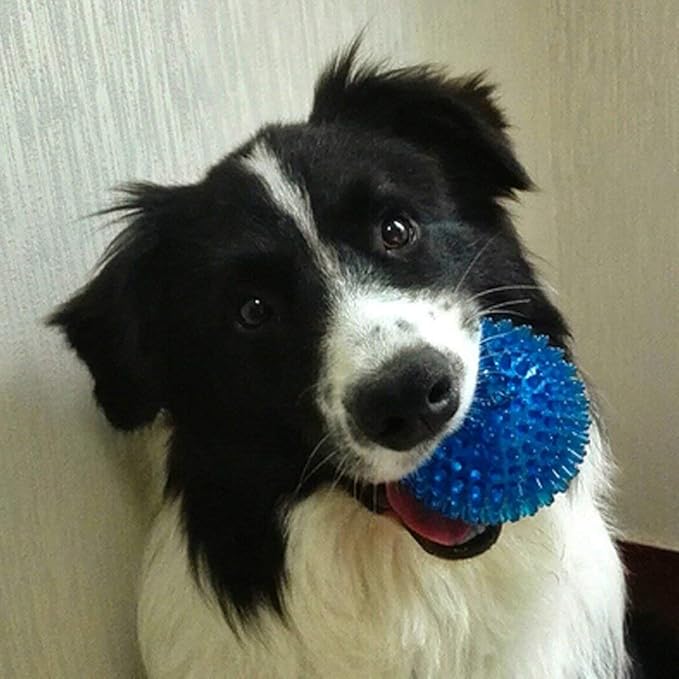 3 Pcs Pet Squeaky Chewing Balls Puppy Chew Toys Soft Stab Balls Cleaning Teeth Toys Play Balls with High Bounce for Large Medium Small Pet Dog Cat