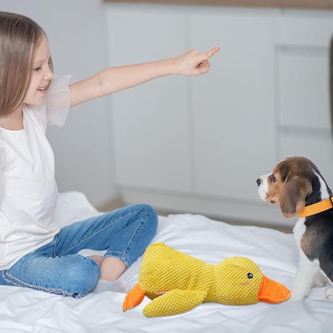 Calming Duck Dog Toy for The Mellow Pets,2025 Upgrade Squeak Dogs Toys Yellow Best Friends, Stuffed Duck Dog Toys for Small Cats Indoor Puppy Essentials (Yellow Pink)