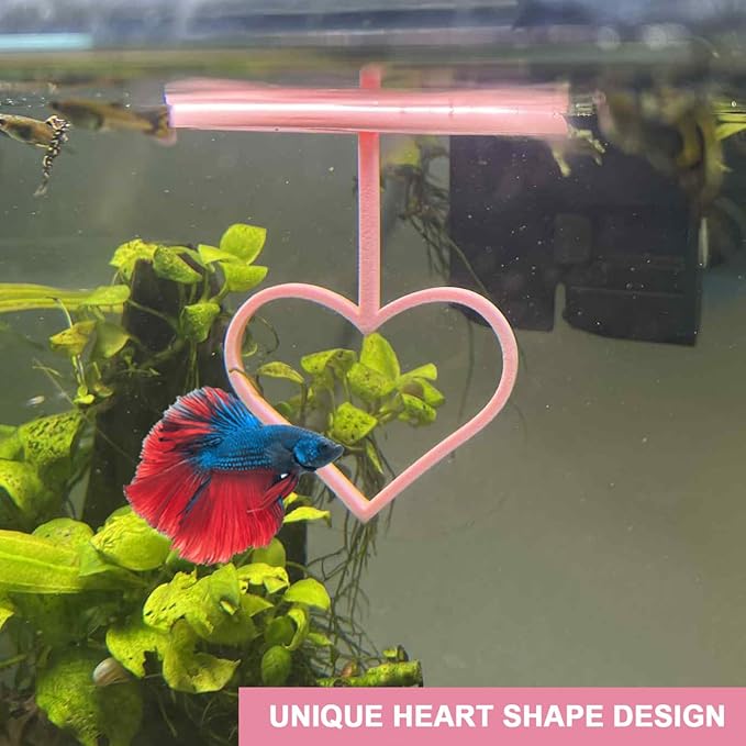 Floating Heart Betta Training Ring, Heart Active Betta Training Ring, Floating Feeder, Enrichment Toys for Aquarium Decor, Pink, 3.8in x 3.7in (Pink, Pack of 2)