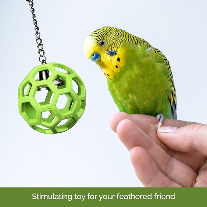 JW Pet Company Activitoys HOL-ee Roller Parrot Toy, 4 Inch Diameter (Colors Vary) (Pack of 2)