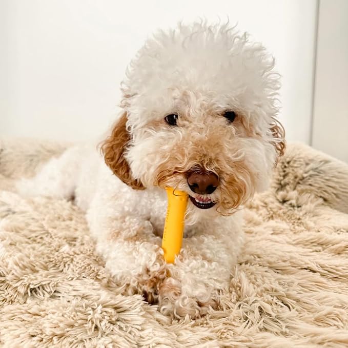 Tall Tails Goat Sport Fetch Bone Toy for Dogs, Small
