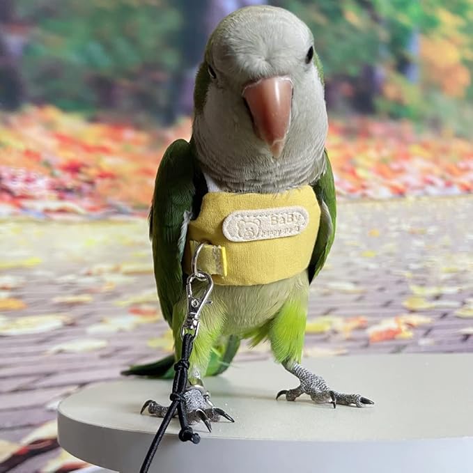 Bird Flight Harness Vest, Parrot Flight Suit with Leash, Bird Flying Clothes with Rope and Handle for Outdoor Activities (Without Leash,Cockatiel) (S, Without Rope)
