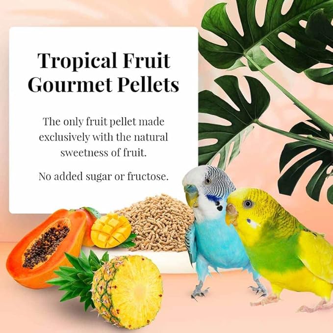 LAFEBER'S Parakeet Pellets (Tropical Fruit, 1.25 Ib Pack of 2)