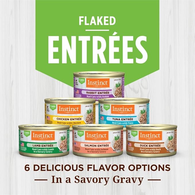 Instinct Flaked Entrée Wet Canned Cat Food - Salmon, 3 Ounce (Pack of 24)