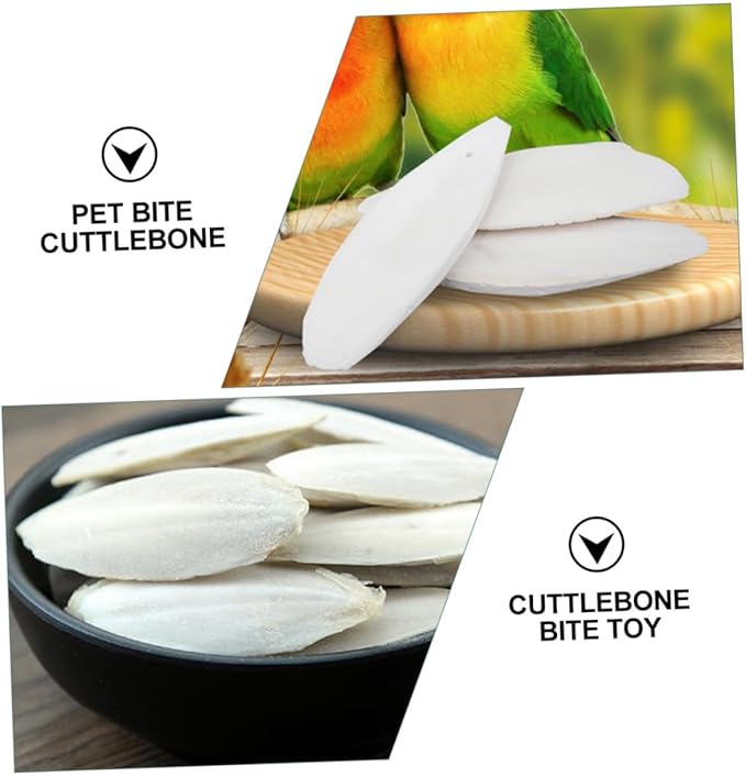 12sets Pet Molars Toy Set Cuttlefish Bone Chewing Toy for Hamsters Rabbits Guinea Pigs Chinchillas Squirrels Bird Cage Accessories Animal Supplies