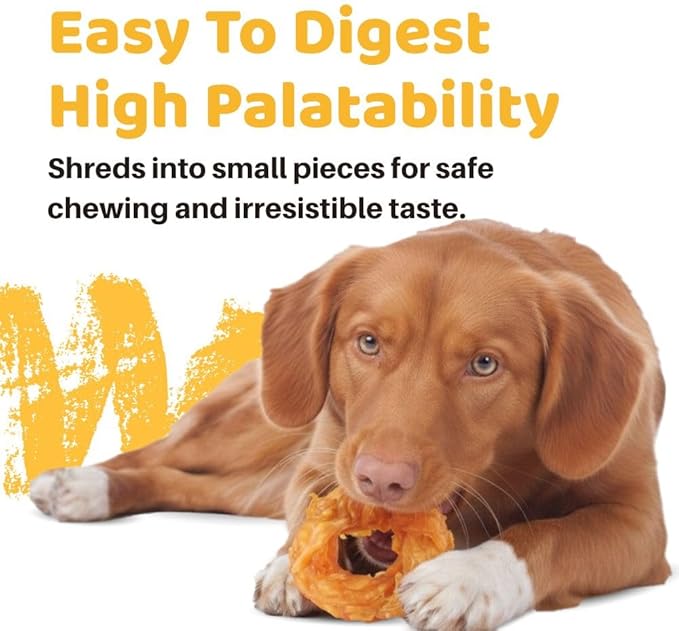 iPaw Turkey Tendons for Dogs, 100% Turkey and US Sourced Raw Material, Hypoallergenic, All Natural Human Grade Puppy Chew, Rawhide Alternative Dog Treats, 4 Units/Pack Ring (Small)