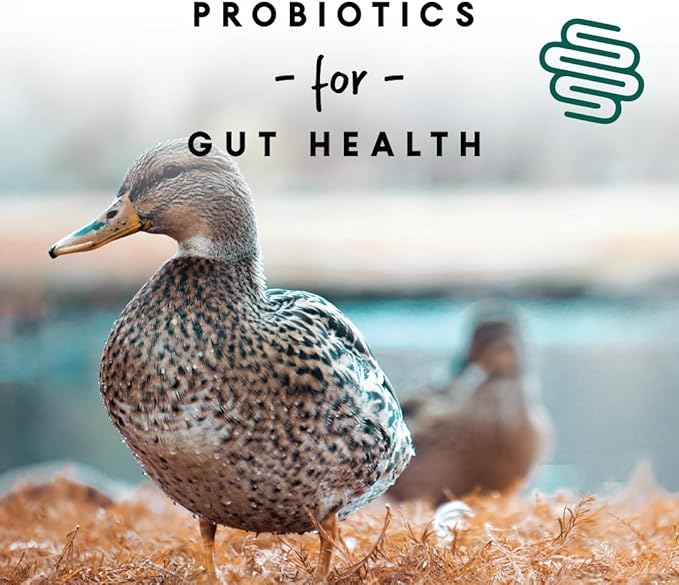 Manna Pro Duck & Goose Layer Pellets, High Protein for Increased Egg Production, Formulated with Probiotics to Supports Gut Health & Digestion, 8 lbs