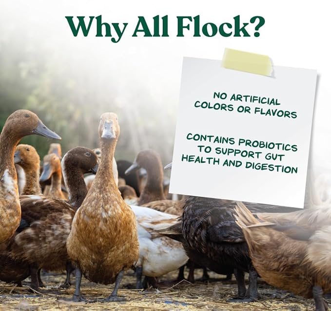 Manna Pro All Flock Crumbles – 16% Protein Complete Poultry Feed with Probiotics for Digestion, Crumbled Chicken & Game Bird Feed for All Flock Types, No Artificial Colors or Flavors, 25 lb
