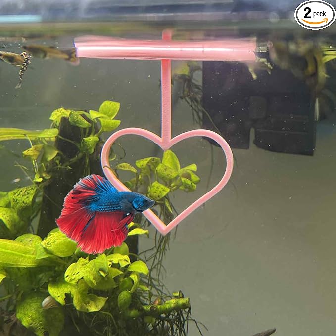 Floating Heart Betta Training Ring, Heart Active Betta Training Floating Ring, Floating Feeder, Betta Loops for Aquarium Decor, Pink, 3.8in x 3.7in (Pink, Single)