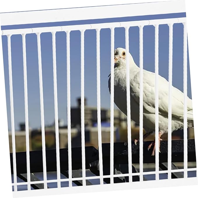 BESPORTBLE Stainless Steel Pigeon Cage Door Bird Accessory Pigeon House Door Bird Cage Entry