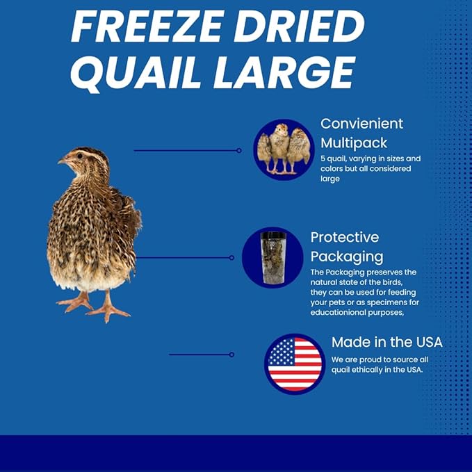 Undique Bird Dog Training Quail - Premium Freeze-Dried Whole Quail for Dogs 5ct, Large (Chick) - Natural Prey Feeding Quality Protein Pet Treats with Essential Nutrients and Enzymes