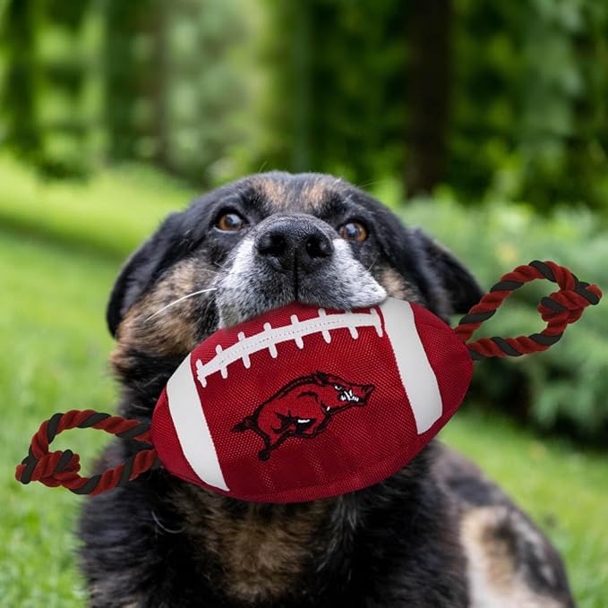 Pets First NFL Unisex NFL Nylon Football