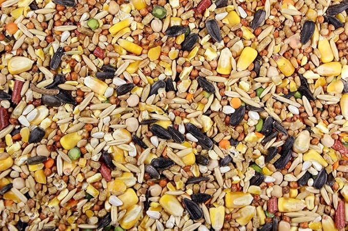 Chicken Feed, Whole Ingredient Chicken Treat, Wied Variety of Grains Poultry Feed (20 Pound (Pack of 1), Singer Mix)