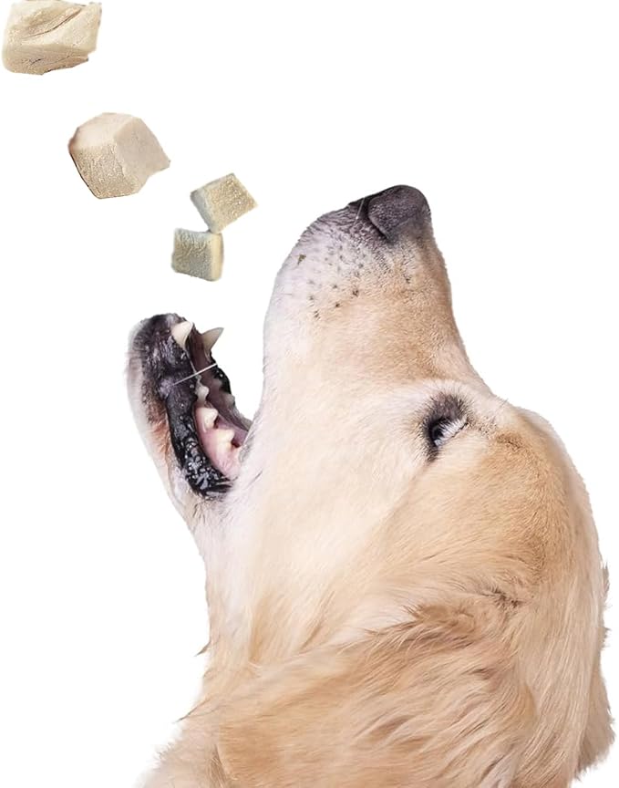 Freeze Dried JustChicken Raw Dog & Cat Treats - Healthy Snacks, Food Topper. Weight Control, Training Bites, High Protein 2.0 OZ