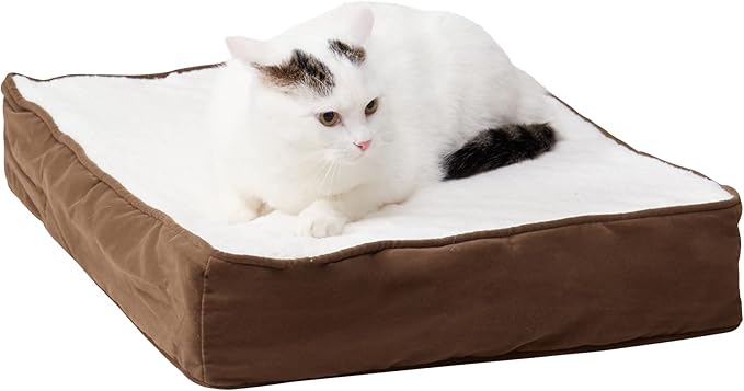 Happy Hounds Bella Orthopedic Rectangle Cat Bed, Latte