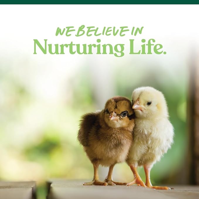 Manna Pro Medicated Chick Starter Grower Feed, Dried High Protein Chicken Food Crumbles with Amprolium for Coccidiosis Prevention, Complete Chicken Feed for Baby Chicks, 5 lb Bag