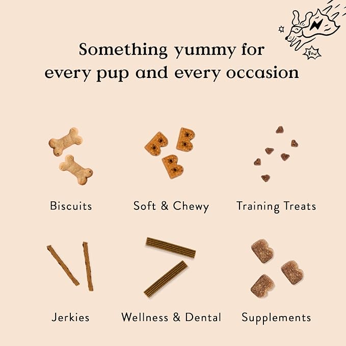 Bocce's Bakery All-Natural, Small Batch, Organic Dog Treats, Wild 'Berry Biscotti Biscuits, Wheat-Free, Limited-Ingredient, Made in The USA with 100% Recyclable Packaging, 12 oz Bag
