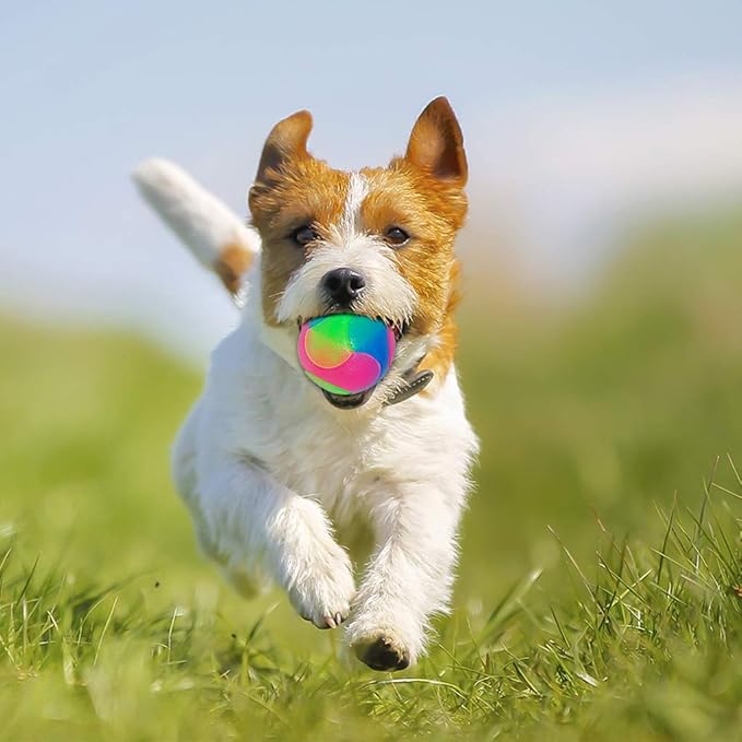 4 pcs Light Up Dog Balls Flashing Elastic Ball Glow in The Dark Interactive Pet Toys for Puppy, Cats, Dogs