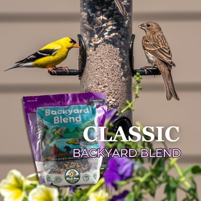 Bird Pro Classic Bird Seed (18 Pounds, Backyard Blend)