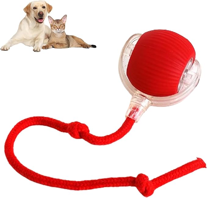 2025 New Interactive Dog Cat Toys Balls, Rolling Ball for Dogs, 360° Smart Automatic Rolling Pet Ball, Electric Dog Balls Toy, Fast Moving, for Indoor Cat and Dogs (Red)