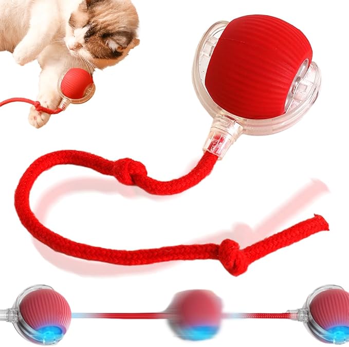 2025 New Interactive Rolling Dog Ball, Self Rolling Dog Ball Interactive Cat Toys Automatic Cat Toy Self Moving Dog Toys, 360° Smart Automatic Rolling Ball Toy Electric Dog Balls for Dog/Cat (Red)