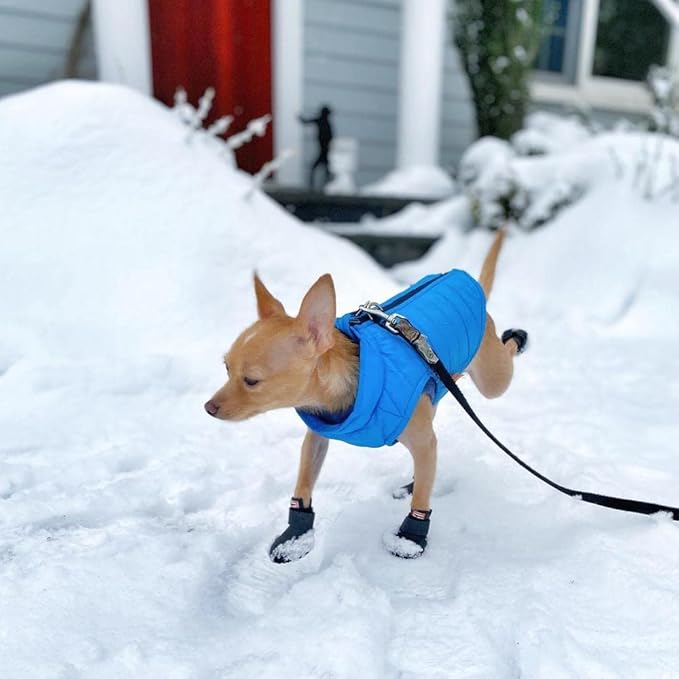 Gooby Puffer Vest Dog Jacket - Blue, Small - Ultra Thin Zip Up Wind Breaker with Dual D Ring Leash - Water Resistant Small Dog Sweater Coat - Dog Clothes for Small Dogs Boy or Medium Dogs, (15")