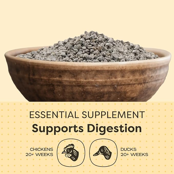 Scratch and Peck Layer Grit Supplement for Chickens and Ducks - 7 lbs Bag - Essential Supplement for Gizzard and Digestive Health - Sustainably Sourced