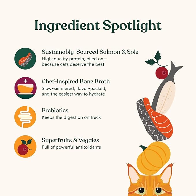 Made by Nacho Premium Wet Cat Food Grain-Free Pate Cans (Salmon & Sole - 24 Pack, 5.5 Ounce)