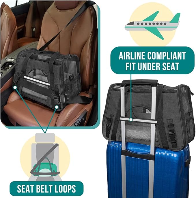 PetAmi Premium Airline Approved Soft-Sided Dog and CAT Travel Carrier, Charcoal, Small
