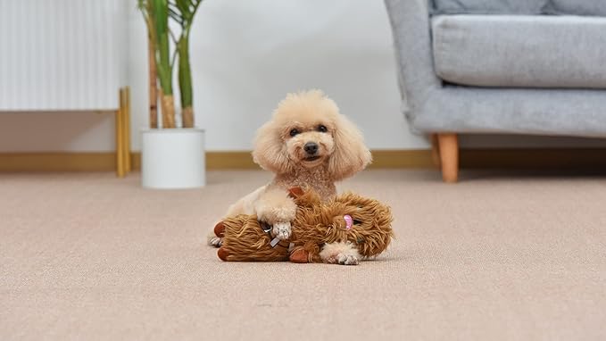 STAR WARS for Pets Chewbacca Plush Bobo Dog Toy with Squeaker | Chewbacca Toy for Dogs Dog Toys, Squeaky Dog Toys, Bobo Style Dog Toys, Dog Chew Toys, 12 Inch (FF19187)