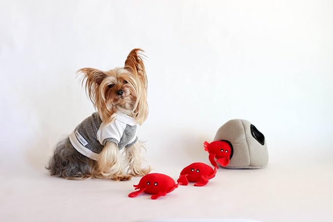 ZippyPaws - Sea Buddies Burrow, Interactive Squeaky Hide and Seek Plush Dog Toy - Crab ‘n Rock
