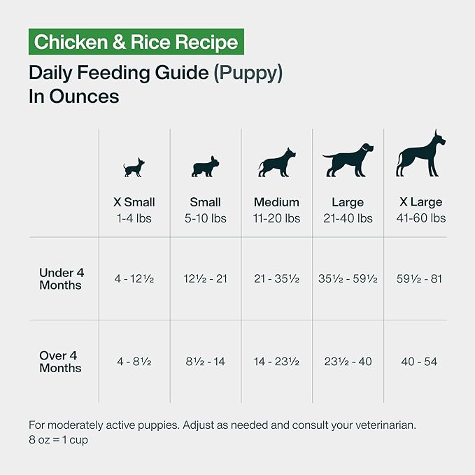 JustFoodForDogs Pantry Fresh Wet Dog Food, Complete Meal or Topper, Chicken & White Rice Human Grade Recipe - 12.5 oz (Pack of 6)