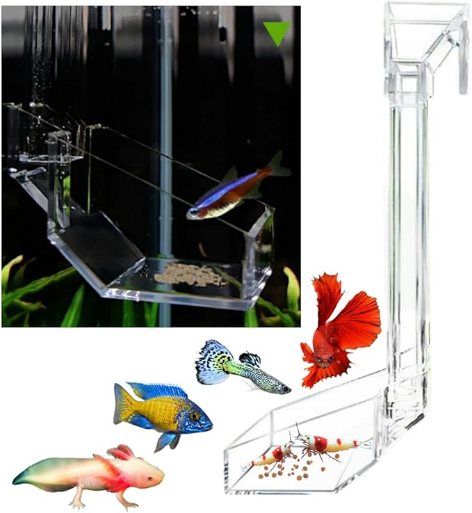 Sky Restaurant Aquarium Fish Feeder - Prevent Food Spilling, Easy to Clean, Betta & Dwarf Frogs Feeding(S)