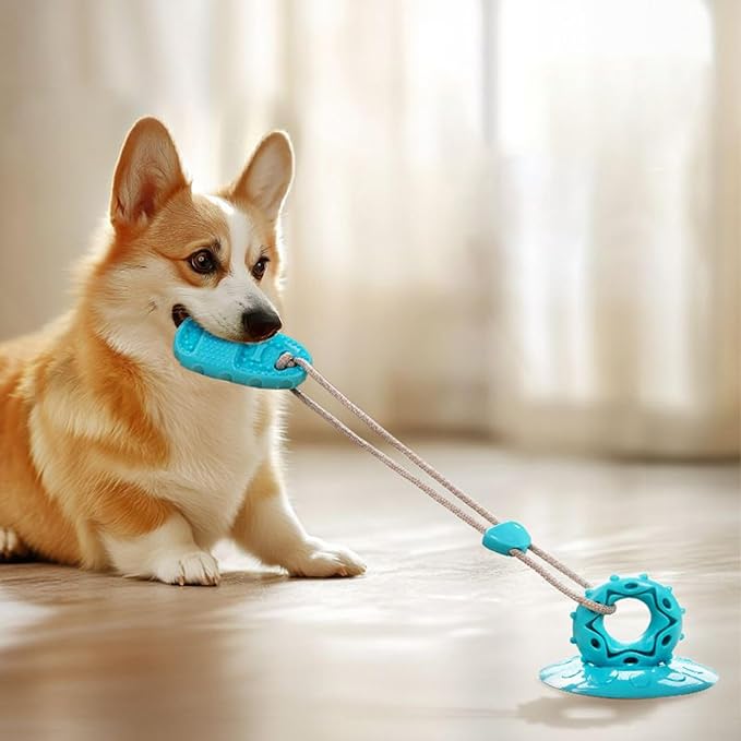 Interactive Dog Toy With Suction Cup Base Hollow Dog Ball That Holds Treats Inside Designed For Supervised Play For Cat Kitten Small Medium Large Breed Aggressive Chewers Indoor Outdoor Play Stimulati