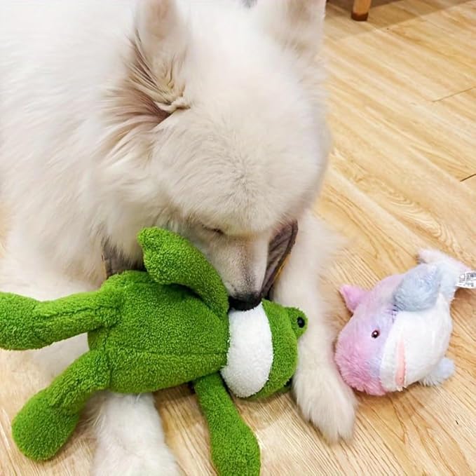 Frog Plush Cat and Dog Toys – Long-Lasting Chew and Interactive Play Accessories – Safe, Non-Toxic Chew Toys for Cats and Dogs
