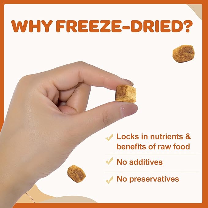 DRFOSTER Freeze-Dried Food- Sweet Potato, Pumpkin, Apple & Pumpkin Seed – High-Fiber, Natural Meal for Cats & Dogs