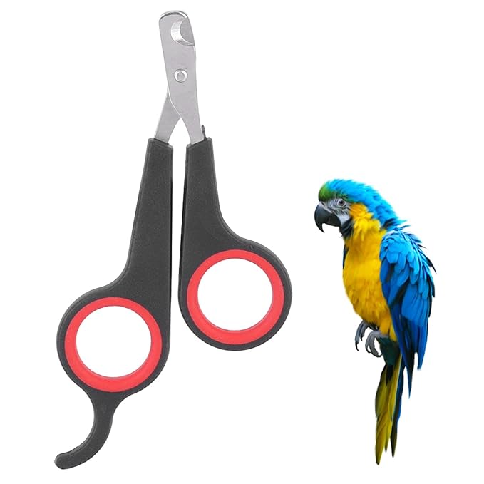 Zerone Pet, Chicken Stainless Steel, Lightweight And Convenient, Construction, Suitable, For Small Pets, Essential Accessory In Any Birdcage