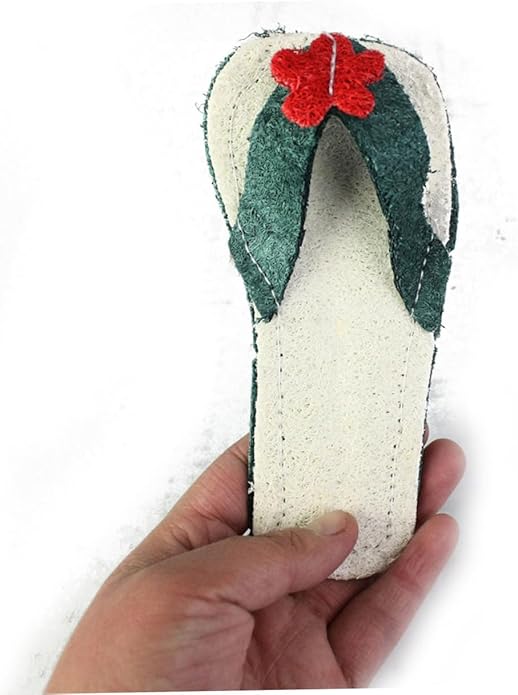 Garneck Loofah Slipper Shaped Pet Chew Toy for Dogs and Cats Molar Toy for Teething Random Oral Care Tool for Healthy Teeth and Gums Fun Pet Plaything