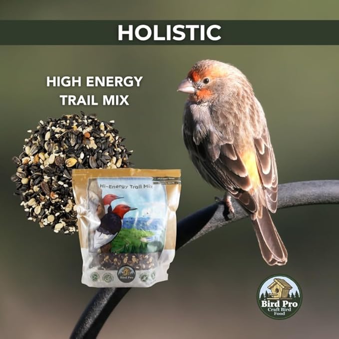 Bird Pro Holistic Bird Seed - Premium Seed for Backyard Feeding (36 Pounds, Hi-Energy Trail Mix)