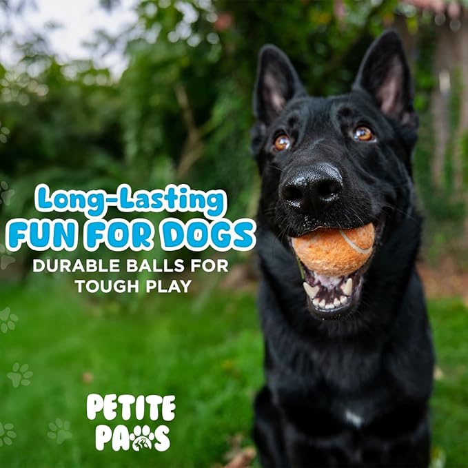 Squeaky Tennis Balls for Dogs 2.5 Inch - 6 Pack Dog Toy Balls - Non-Toxic Natural Rubber Squeaky Balls for Medium Dogs, Puppies, Fetch, Training - Durable Dog Ball