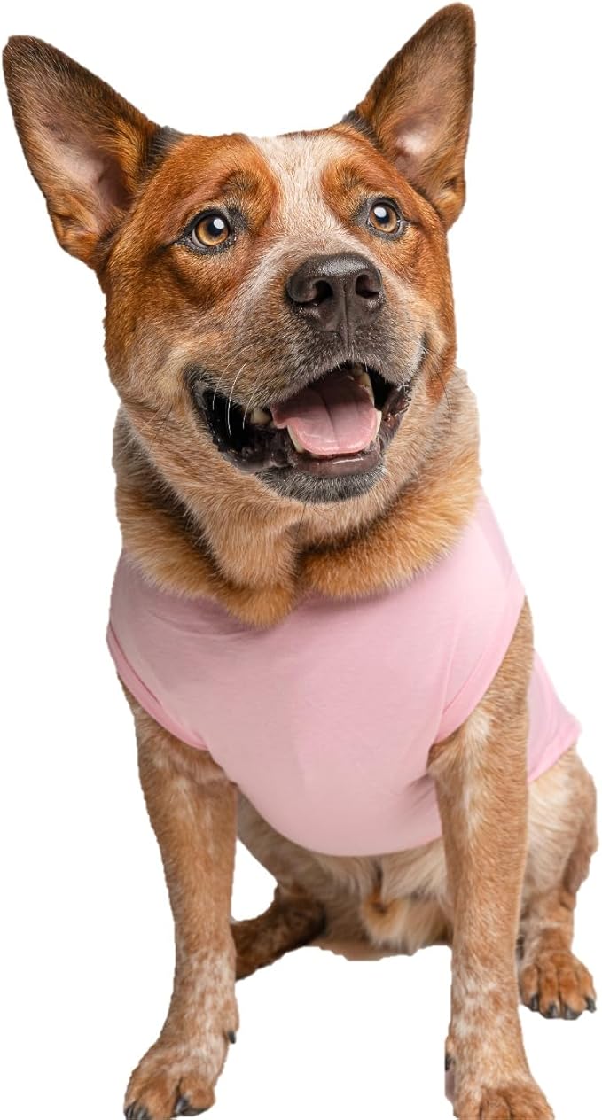 Aunties Bestie Dog Tee Shirt | Sleeveless Breeds | Mother's Day | Aunt Gift | Best Auntie & Sister | Valentine's Day |Baby Pink, Large 1360