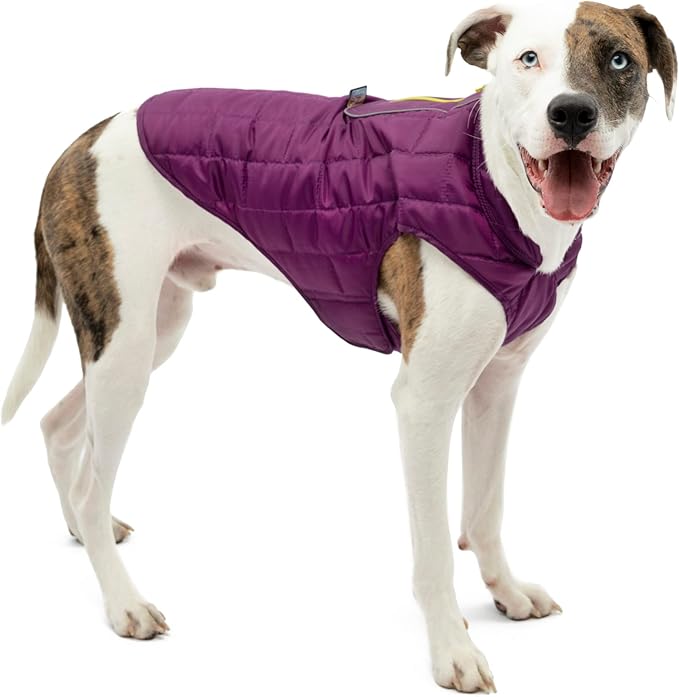 Kurgo Loft Dog Jacket - Reversible Cozy Coat for Outdoor Adventures - Water Resistant - Athletic Fit - Machine Washable Fabric - Reflective Dog Gear - X-Large - Deep Violet