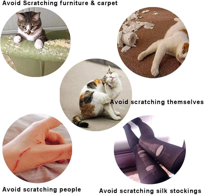 YMCCOOL 100pcs Cat Nail Caps/Tips Pet Cat Kitten Paws Covers Control Paws of 10 Nails Caps and 5Pcs Adhesive Glue 5 Applicator with Instruction