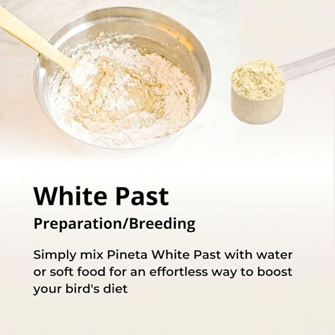 White Past Cria for Birds by Pineta Zootecnici - Soft White Breeding Paste with 19% Protein & 13% Fat, Enriched with Silymarin and Chia Seeds, Ideal for Canaries, Finches and Cereal Birds (1 Kg)